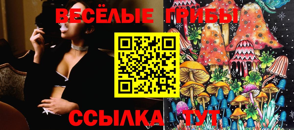 ТГК Анжеро-Судженск