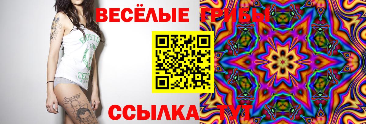 Анжеро-Судженск  Псилоцибиновые грибы Cubensis  Вход с VPN  Псилоцибиновые грибы мухоморы 
